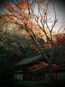 P1012773shuusei.JPG