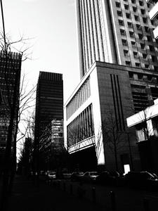 P1022881shuusei.JPG