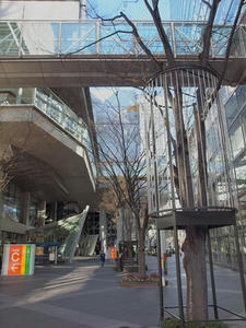 P1022929shuusei.JPG