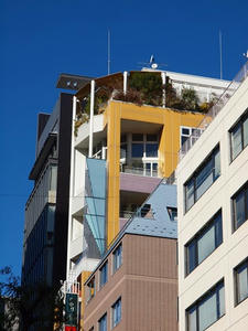 P1022982shuusei.JPG