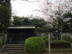 P3285295shuusei.JPG