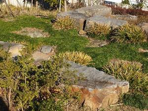 P1033844shuusei.JPG