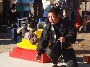 P1033913shuusei.JPG