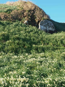 P1137001shuusei.JPG