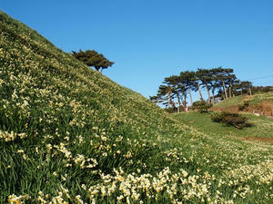 P1136996shuusei.JPG