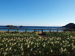 P1137000shuusei.JPG