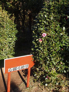 P1137095shuusei.JPG