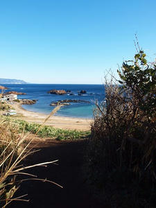 P1137096shuusei.JPG