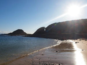 P1137018shuusei.JPG