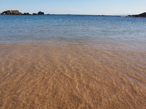 P1137021shuusei.JPG