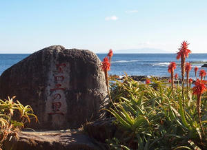 P1137152shuusei.JPG
