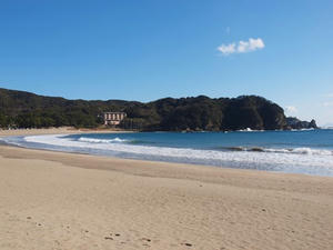 P1137171shuusei.JPG