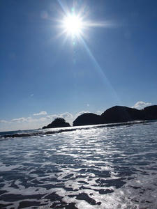 P1137177shuusei.JPG