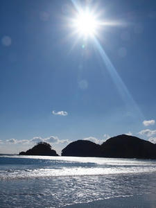 P1137195shuusei.JPG