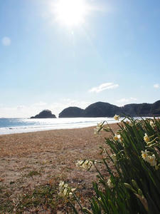 P1137205shuusei.JPG