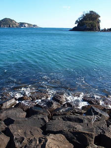 P1137226shuusei.JPG