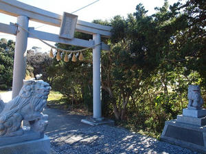 P1137267shuusei.JPG