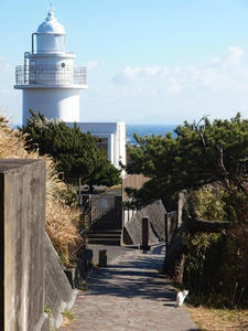 P1137269shuusei.JPG