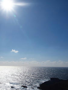 P1137272shuusei.JPG