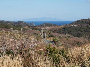 P1137370shuusei.JPG