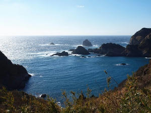 P1137380shuusei.JPG