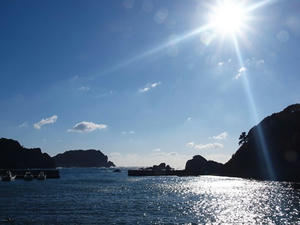 P1137381shuusei.JPG
