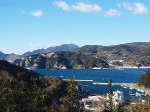 P1137392shuusei.JPG