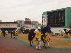 P1289337shuusei.JPG