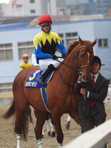 P1289781shuusei.JPG