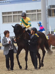 P1289775shuusei.JPG