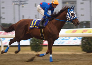 P1289823shuusei.JPG