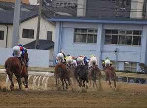 P1289892shuusei.JPG
