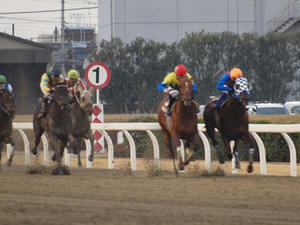 P1289906shuusei.JPG