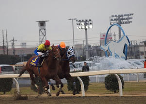 P1289918shuusei.JPG