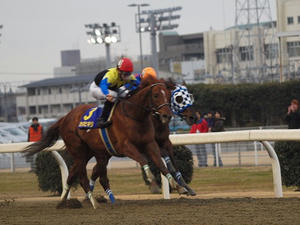 P1289920shuusei.JPG