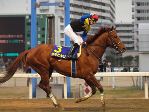 P1289942shuusei.JPG