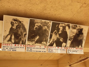 P1137610shuusei.JPG
