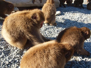 P1137528shuusei.JPG