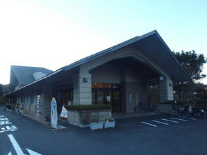 P1137713shuusei.JPG