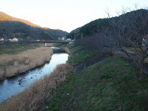 P1137720shuusei.JPG