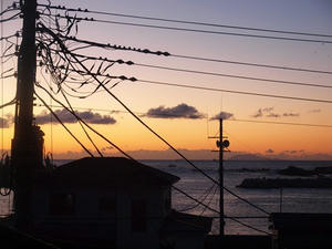 P1147750shuusei.JPG
