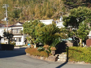 P1147764shuusei.JPG