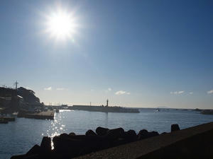 P1147756shuusei.JPG