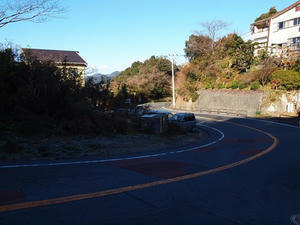P1147770shuusei.JPG