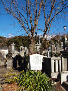 P1147781shuusei.JPG