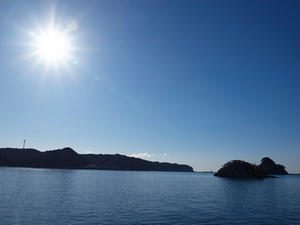P1147785shuusei.JPG