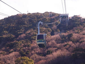 P1147807shuusei.JPG