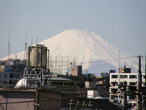 f2958c81.jpg