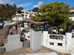 P1147938shuusei.JPG