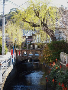 P1147947shuusei.JPG
